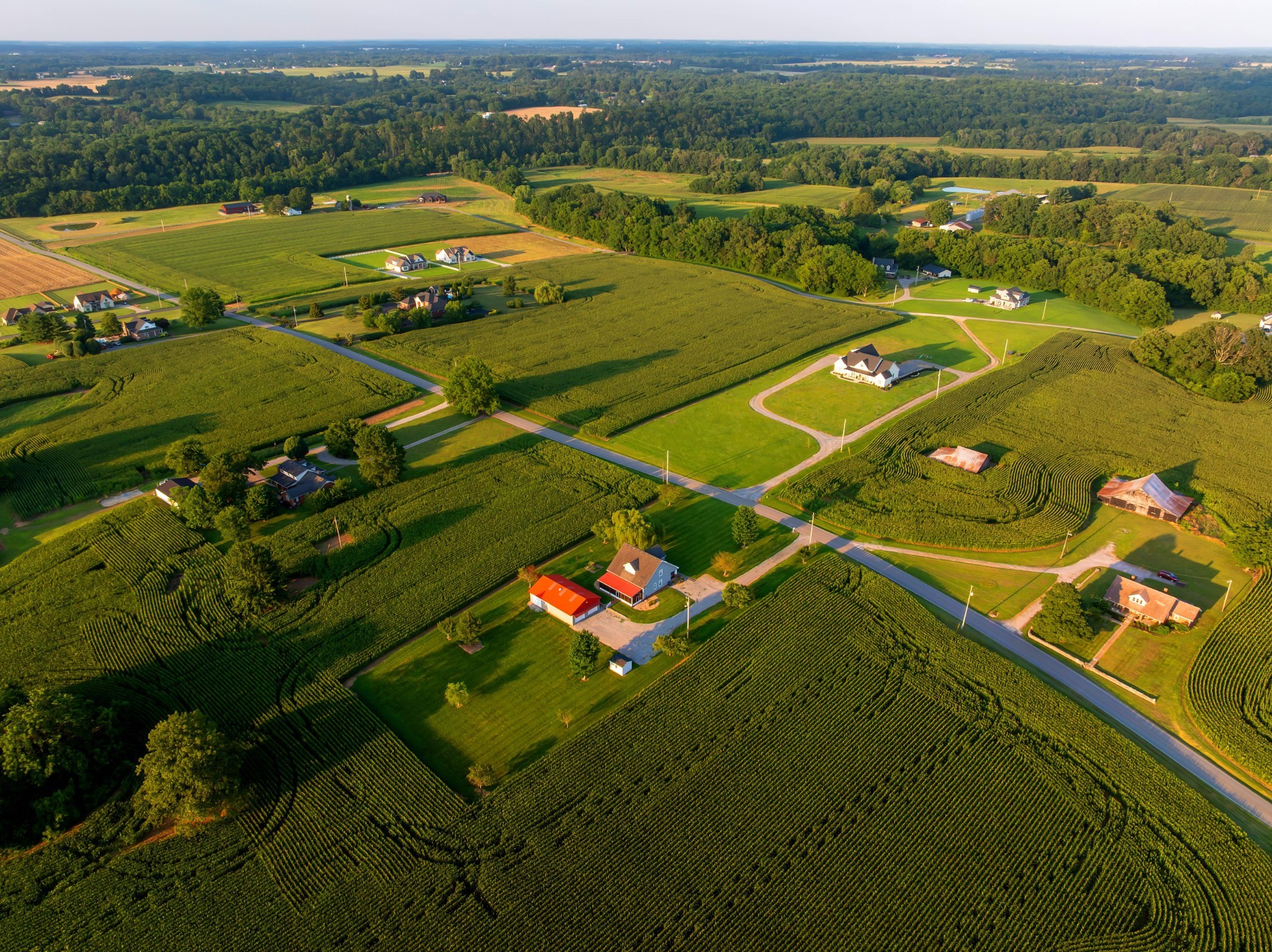 572 Buntin Mill Road Cottontown, TN 37048 - Photo 9 of 67