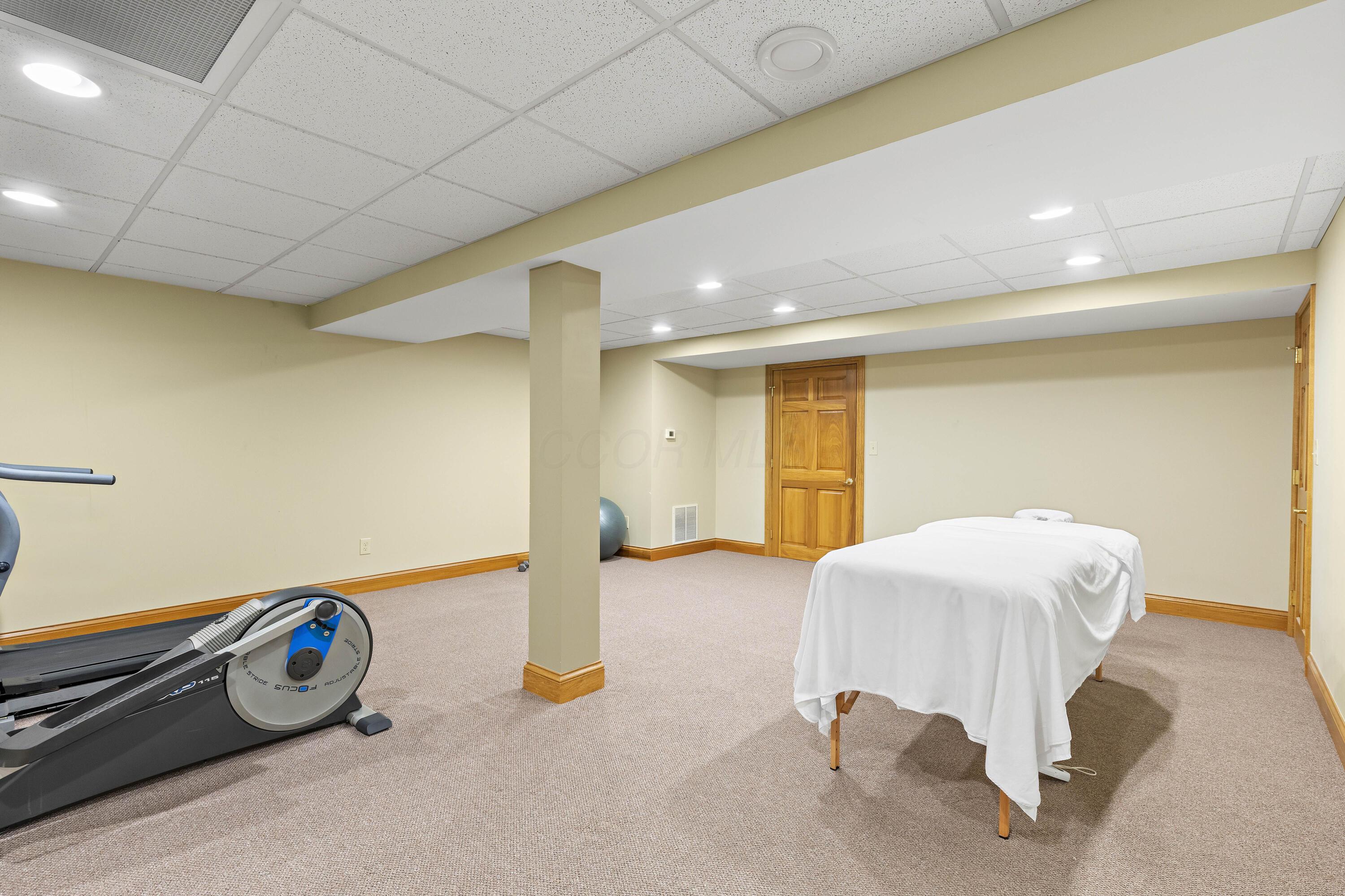 1364 Dale Ford Road Delaware, OH 43015 - Photo 79 of 112 • Berber carpet • Sage painted walls • Can lighting • Acoustic ceiling tiles • Storage under stairs
