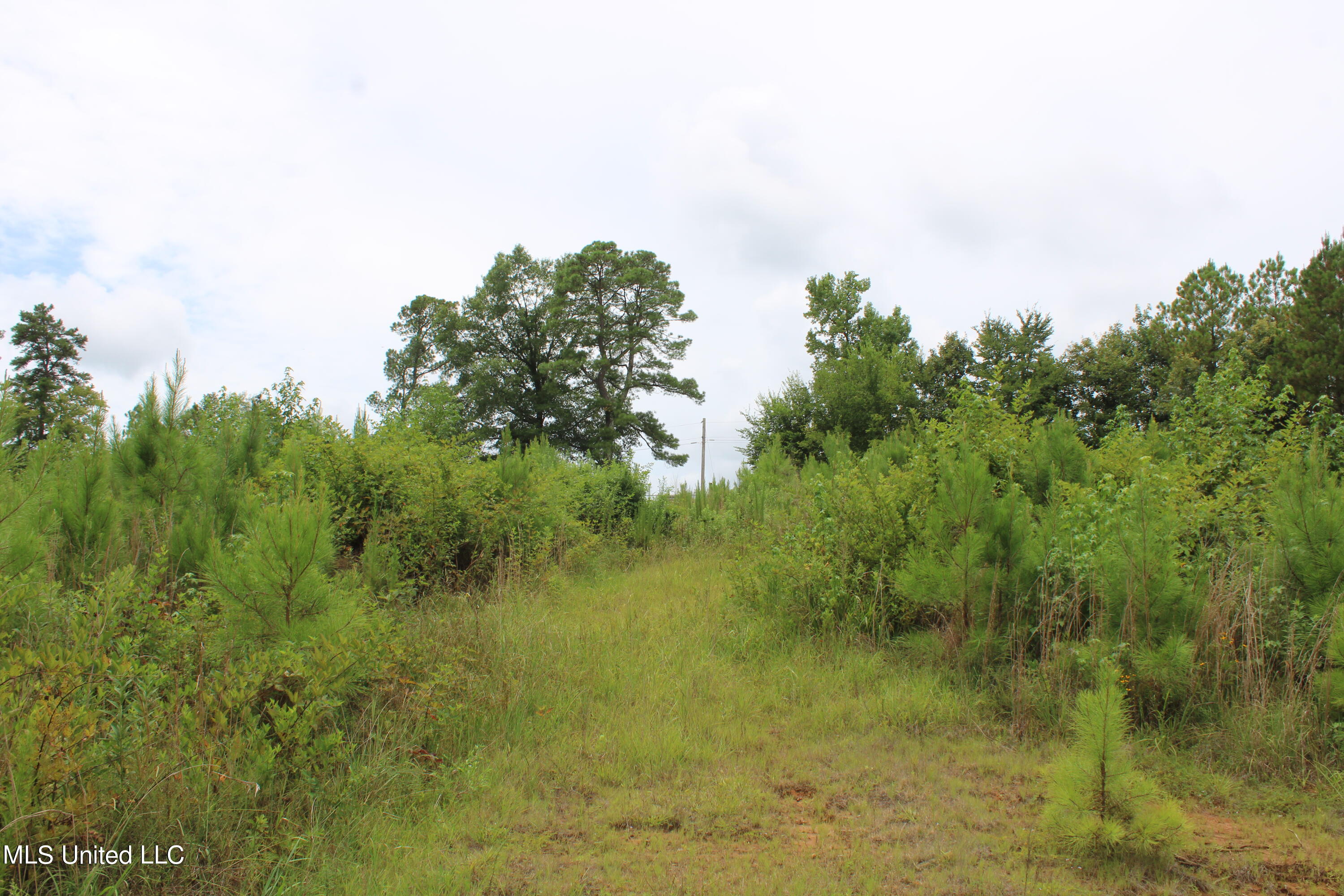 390 Mckee Road Falkner, MS 38629 - Photo 23 of 28 IMG_4199