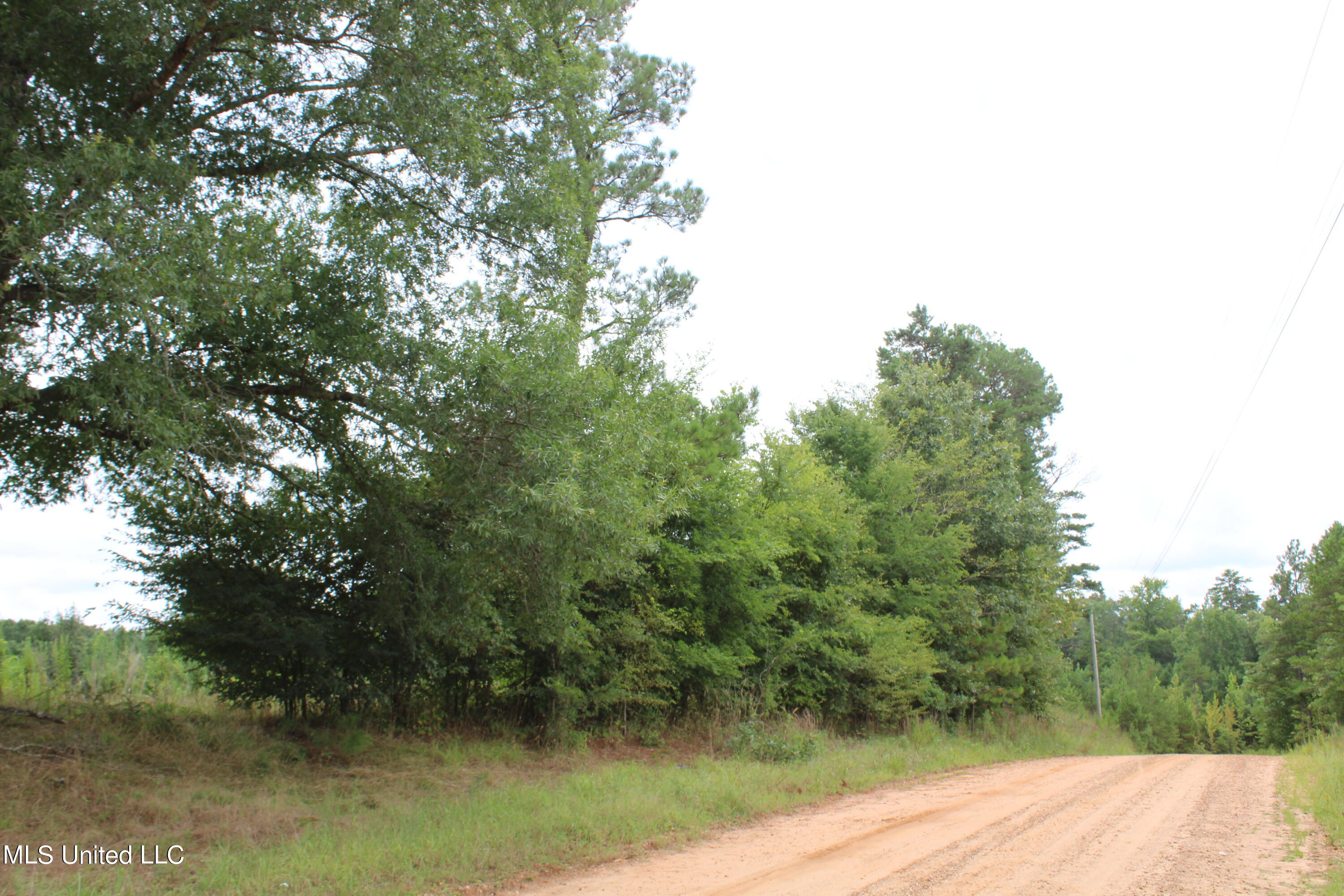390 Mckee Road Falkner, MS 38629 - Photo 8 of 28 IMG_4185
