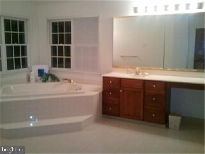 20 Green Meadow Road Skillman, NJ 08558 - Photo 14 of 20 Master Bathroom