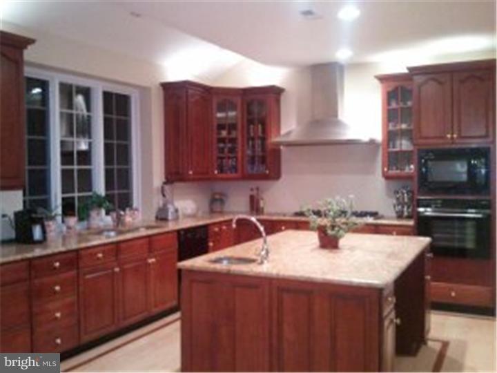 20 Green Meadow Road Skillman, NJ 08558 - Photo 6 of 20 Kitchen