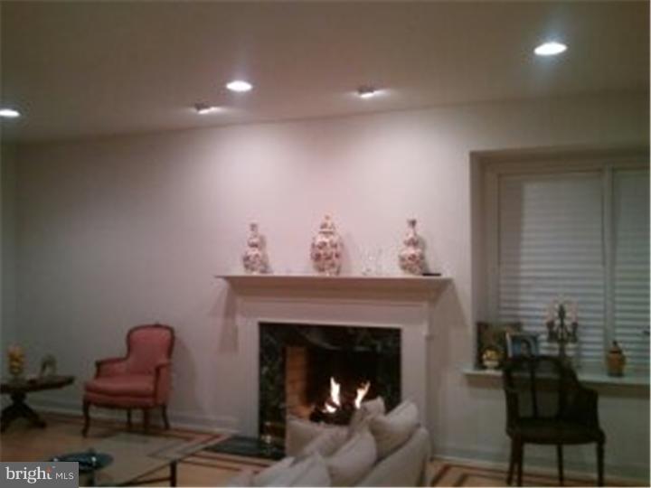20 Green Meadow Road Skillman, NJ 08558 - Photo 10 of 20 Fireplace