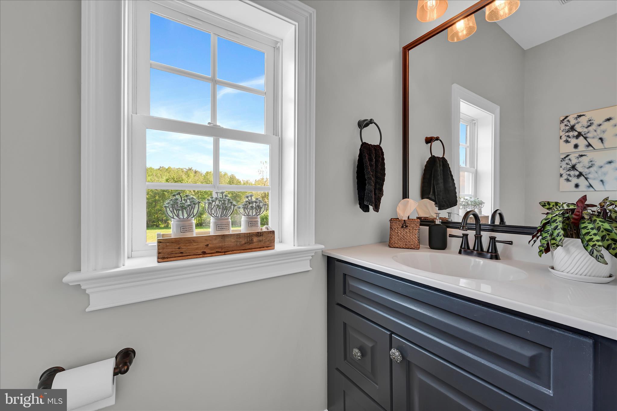678 Integrity Drive Lititz, PA 17543 - Photo 18 of 51 a bathroom with a sink and a mirror