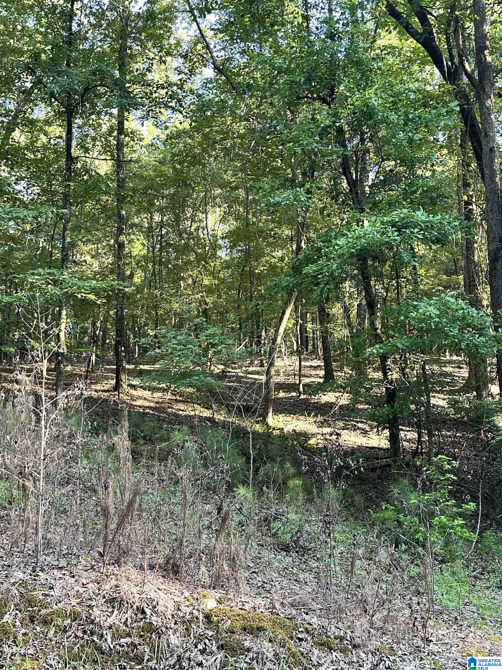 500 Black Acres Road, Unit 27 Cropwell, AL 35054 - Photo 7 of 25