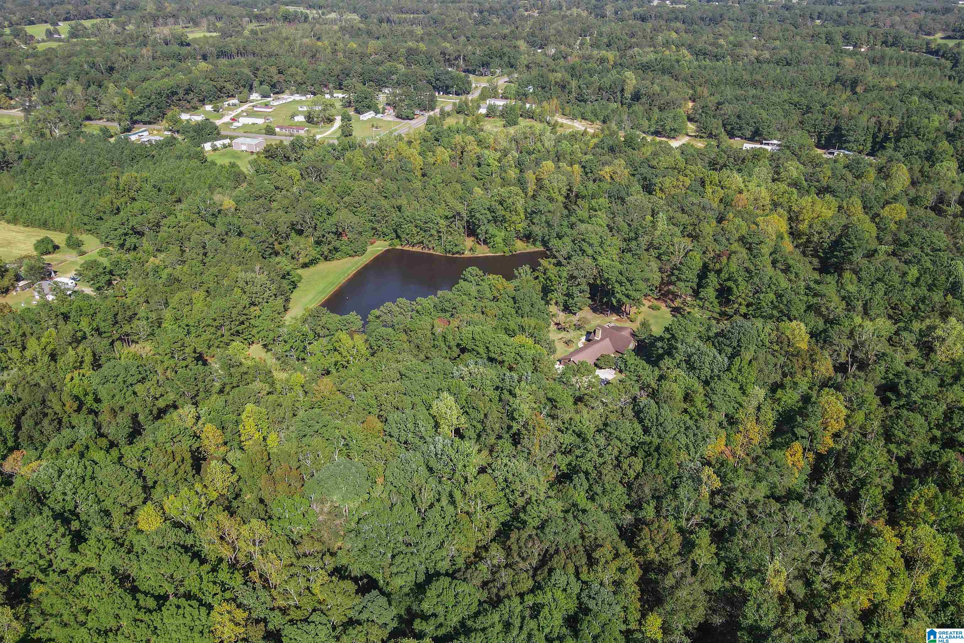 20110 Highway 22 Clanton, AL 35045 - Photo 26 of 49