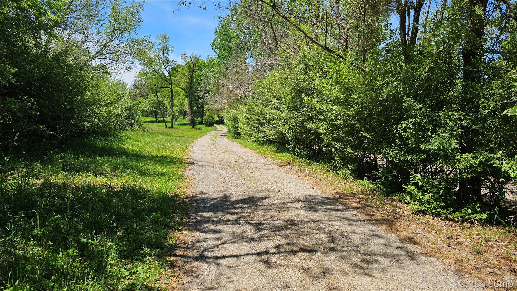 6790 Hinchey Road Pinckney, MI 48169 - Photo 2 of 35 View of street