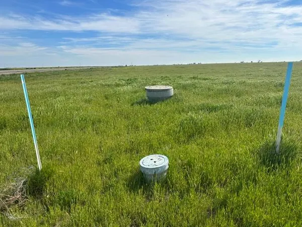 a view of a back yard