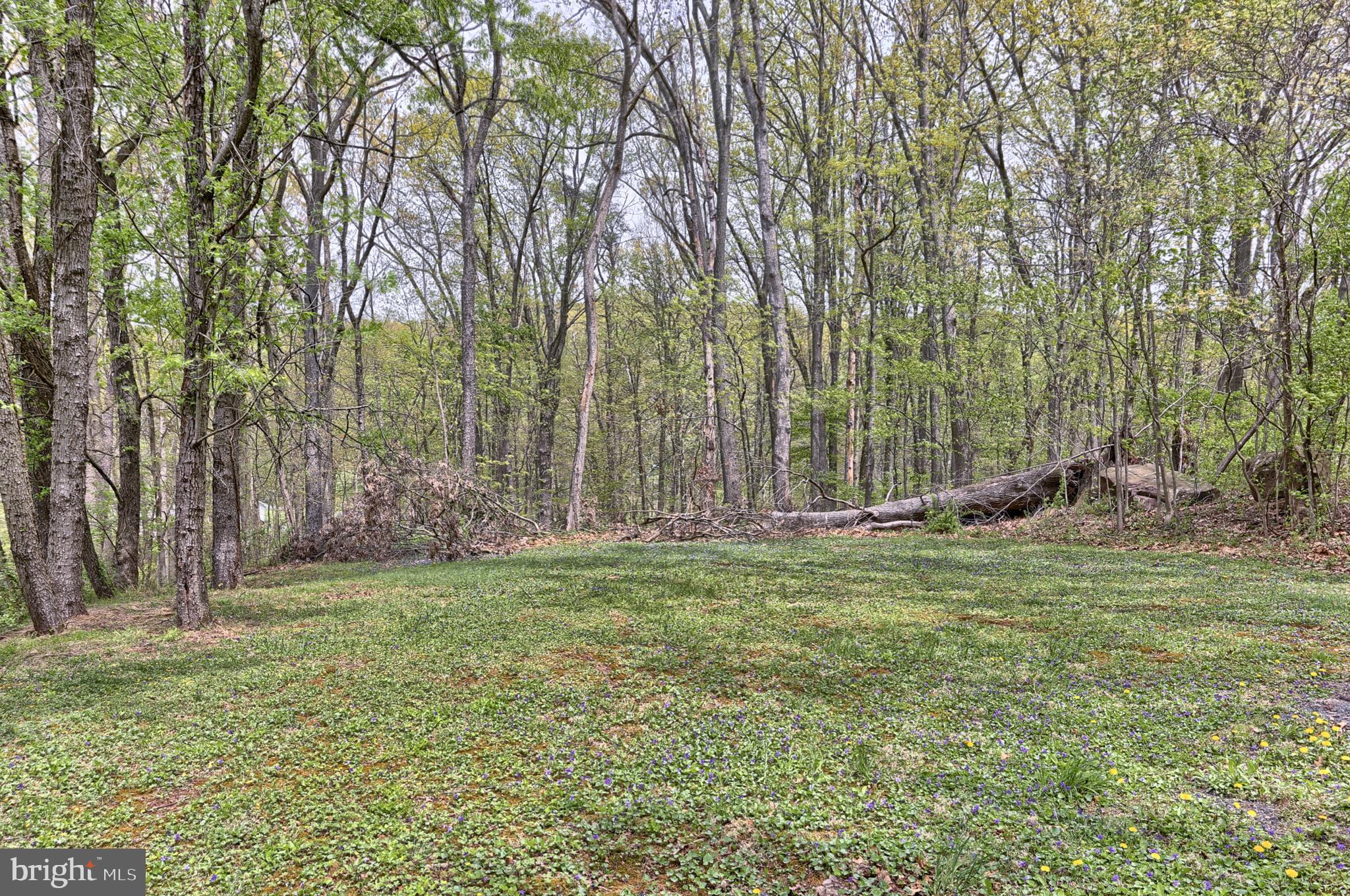 720 Heck Hill Road Lewisberry, PA 17339 - Photo 32 of 37