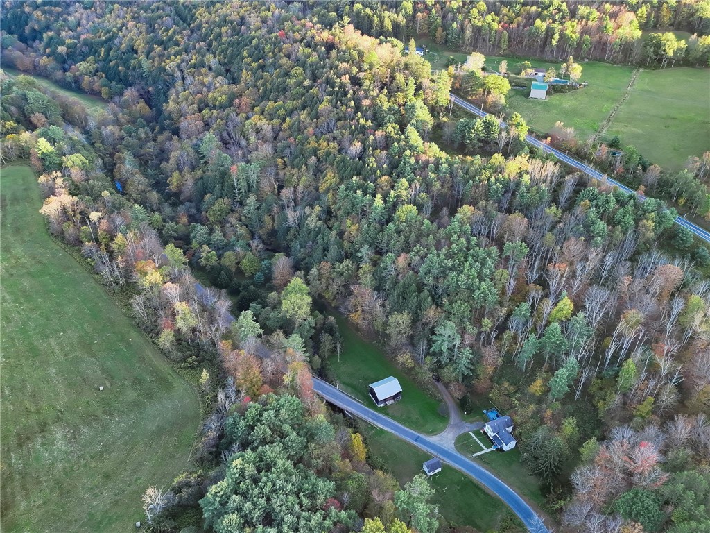 2576 John Rial Road Addison, NY 14801 - Photo 5 of 47