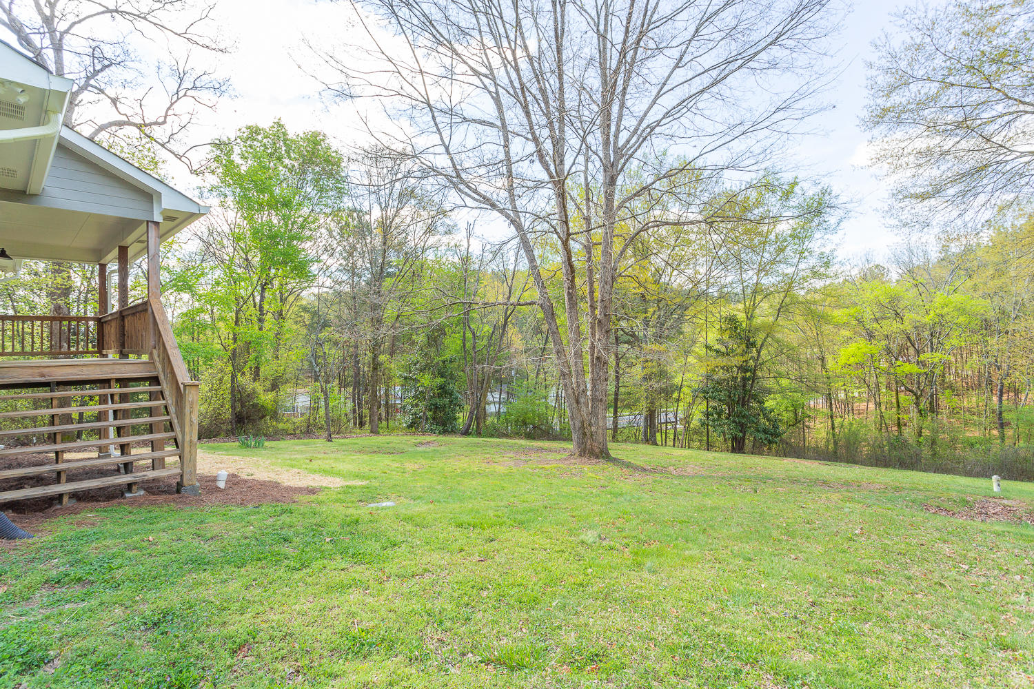 107 Ridge Street Trion, GA 30753 - Photo 9 of 42 Backyard