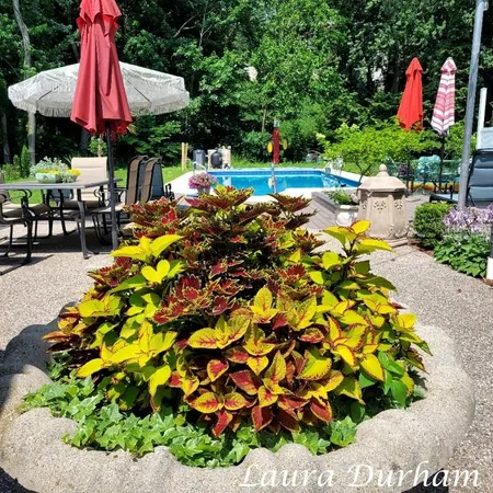 $1,295,000 | 790 Lake Street, Saugatuck, MI 49453