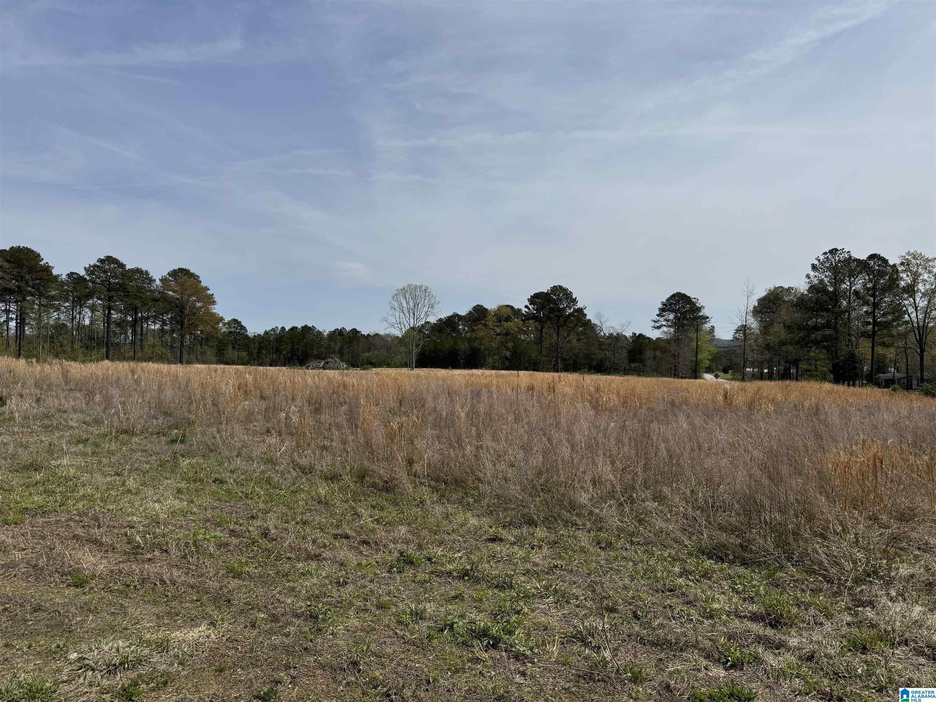 0 Greensport Road Ashville, AL 35953 - Photo 35 of 43