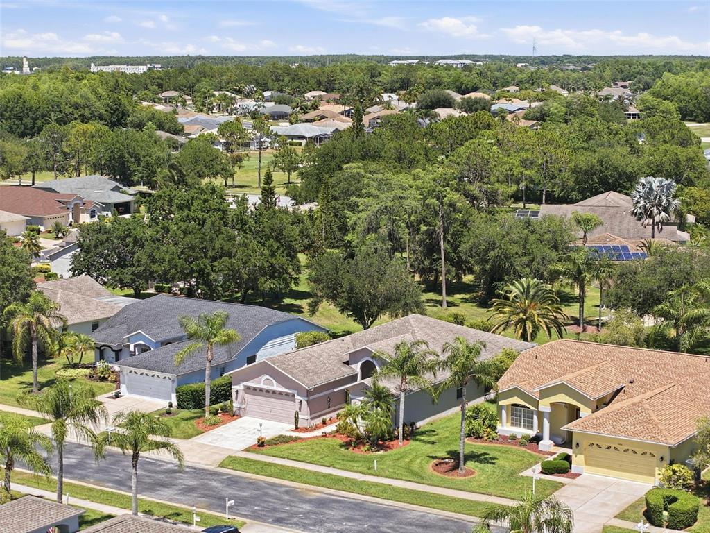 1430 Canberley Court Trinity, FL 34655 - Photo 66 of 66