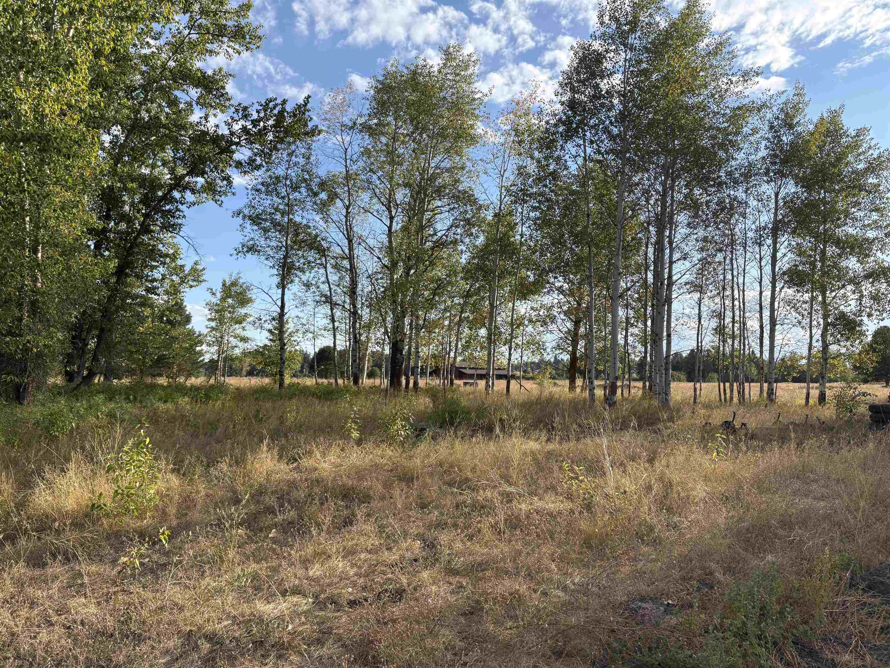 4871 West Enoch Road Deer Park, WA 99006 - Photo 9 of 10 Gallery Image 9