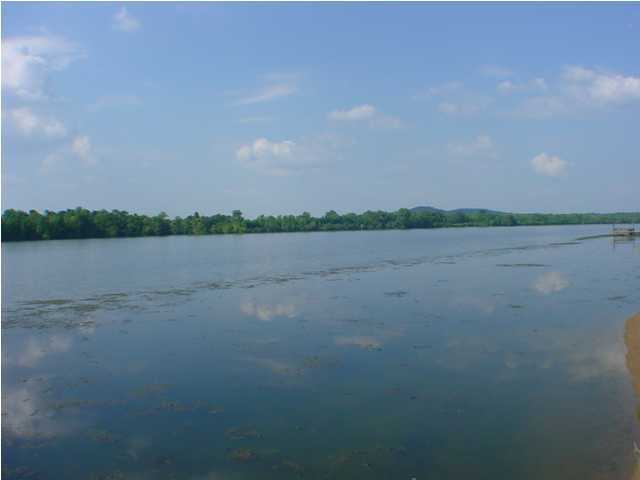 275 Russell Lane, Unit A Decatur, TN 37322 - Photo 3 of 9 Additional Photo