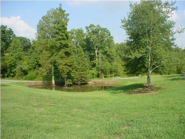 275 Russell Lane, Unit A Decatur, TN 37322 - Photo 4 of 9 Additional Photo