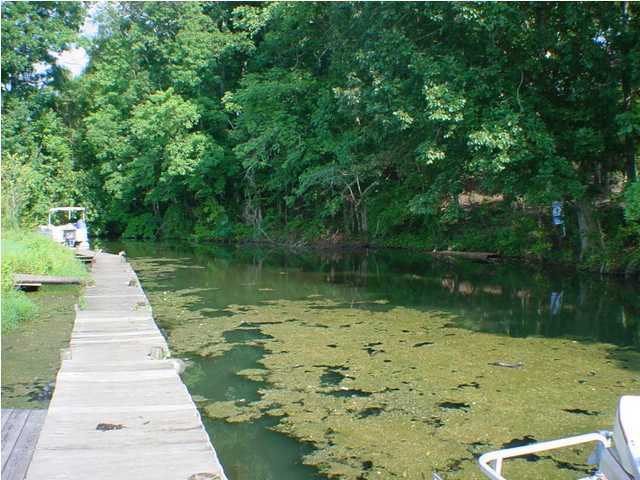 275 Russell Lane, Unit A Decatur, TN 37322 - Photo 9 of 9 Additional Photo