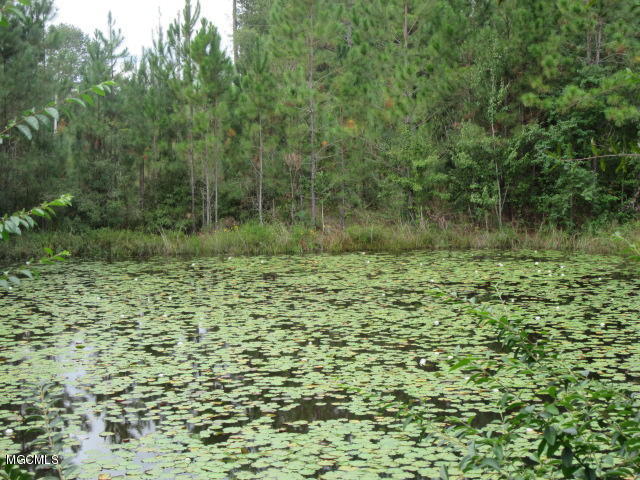 21504 East Adams Road Saucier, MS 39574 - Photo 18 of 21 IMG_1670