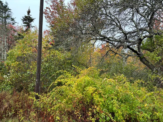 $595,000 | 253 Hathorne Point Road, Cushing, ME 04563