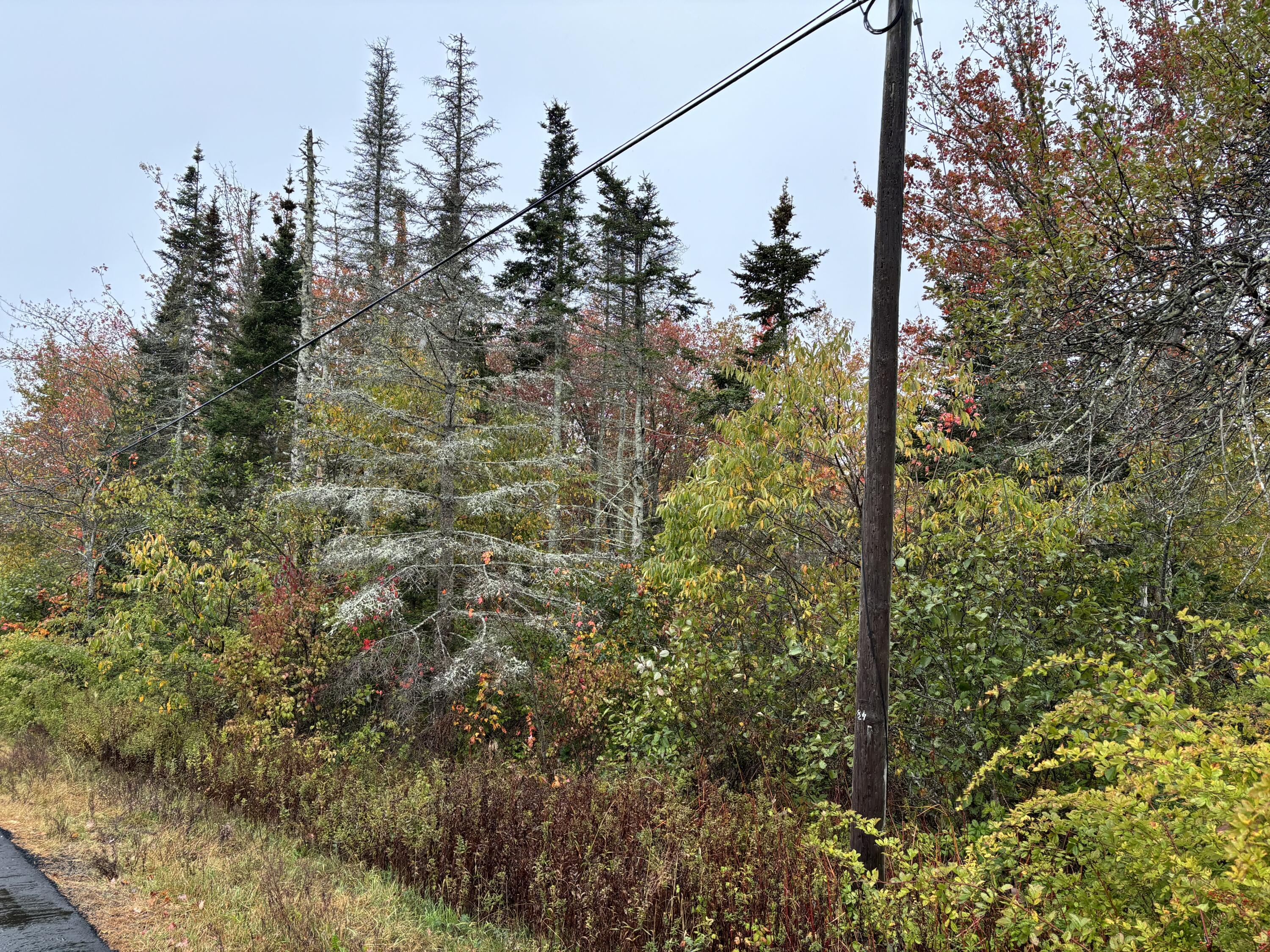 253 Hathorne Point Road Cushing, ME 04563 - Photo 5 of 12 IMG_2177