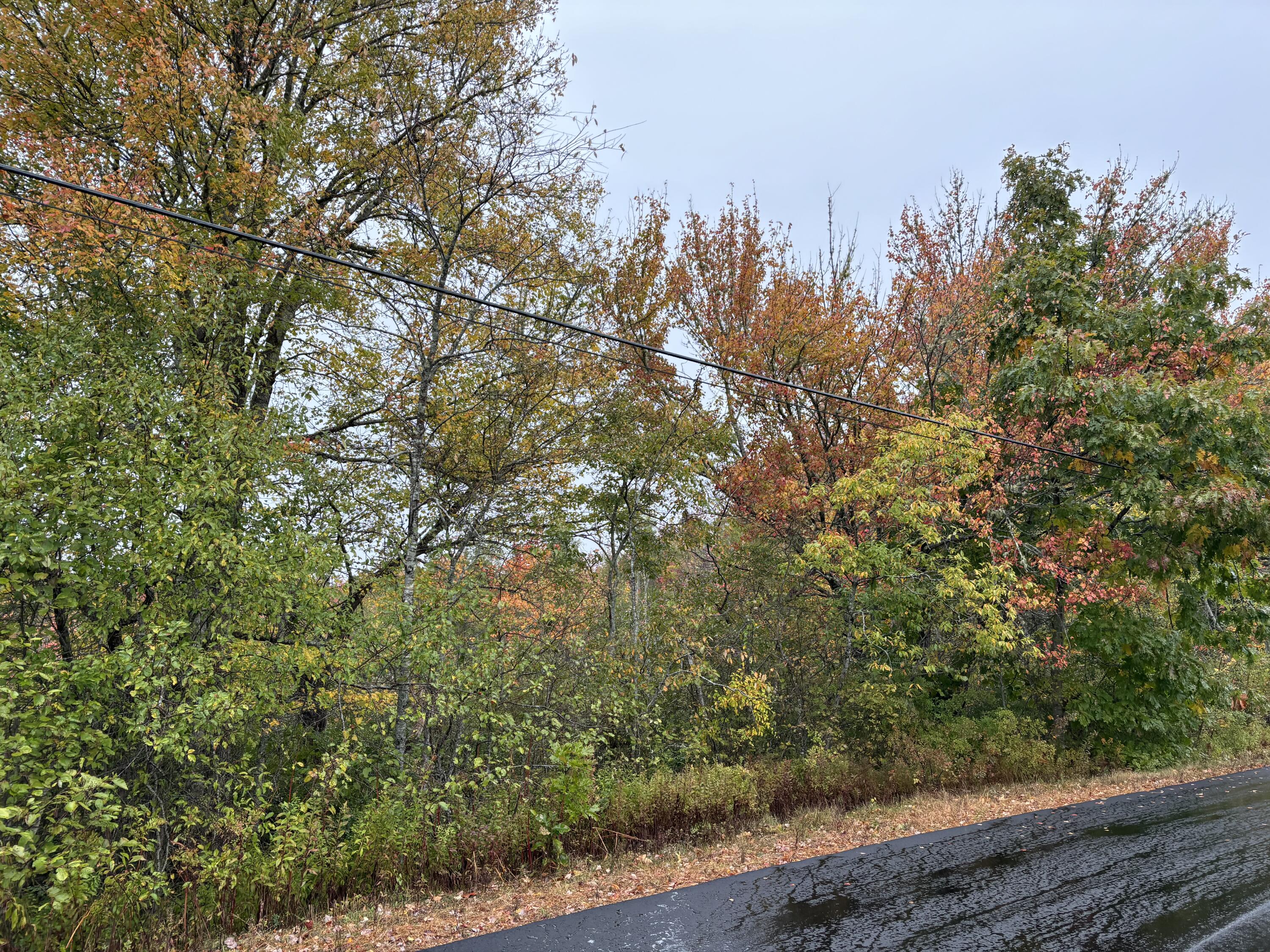 253 Hathorne Point Road Cushing, ME 04563 - Photo 8 of 12 IMG_2176