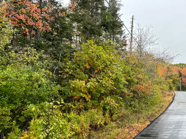 $595,000 | 253 Hathorne Point Road, Cushing, ME 04563