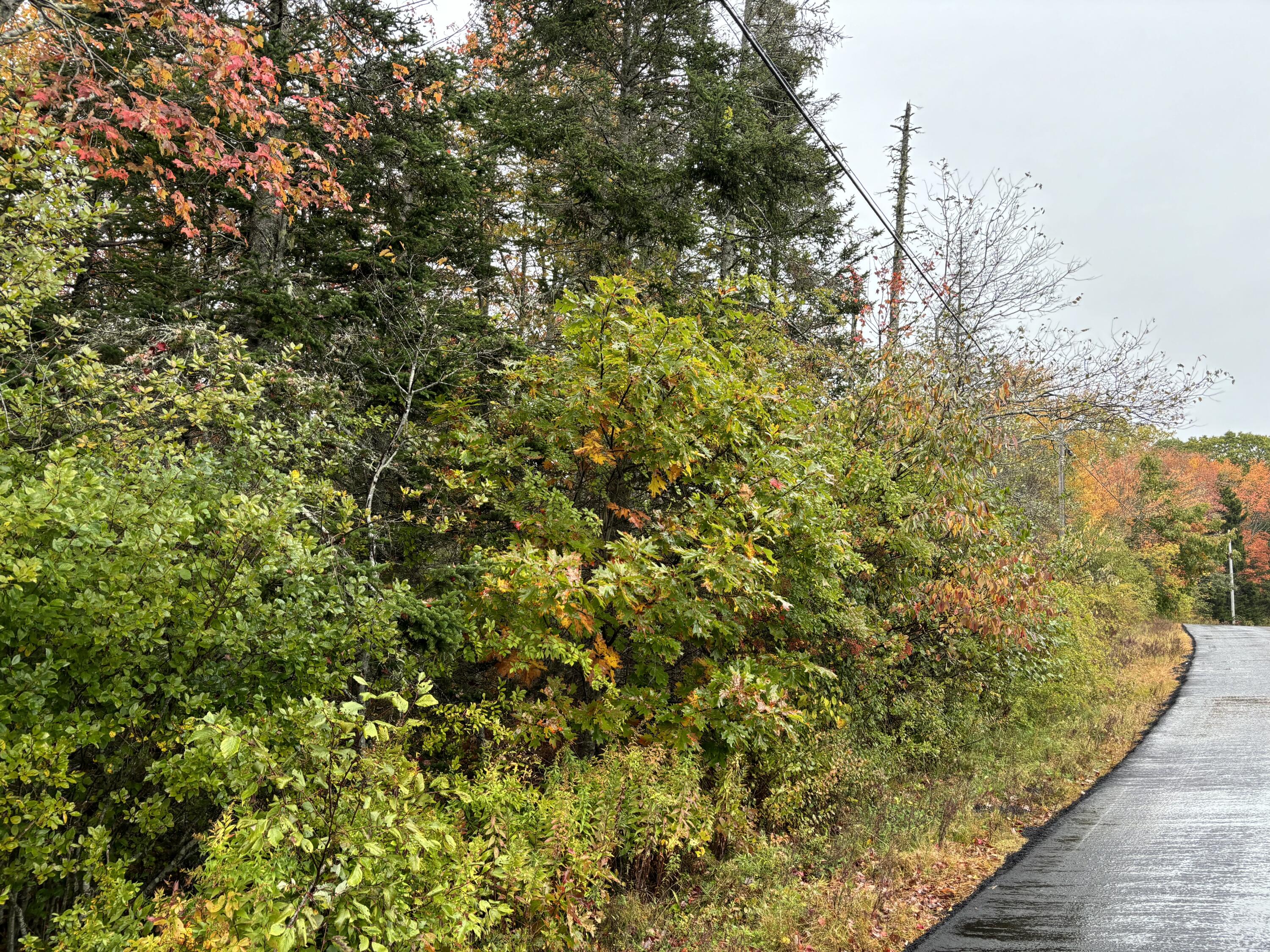 253 Hathorne Point Road Cushing, ME 04563 - Photo 9 of 12 IMG_2169