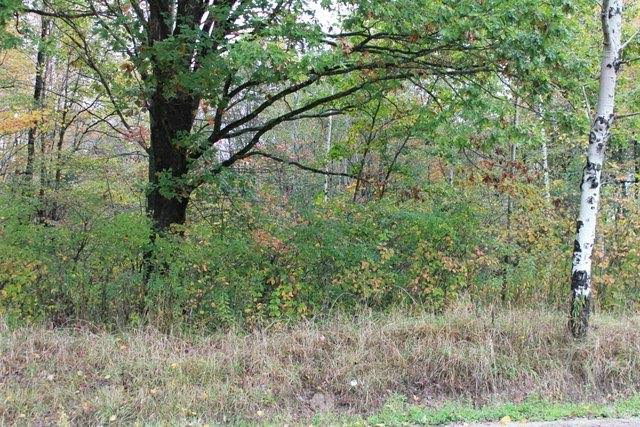 597 Creek Rd Route Cooperstown, PA 16317 - Photo 1 of 1 Main View