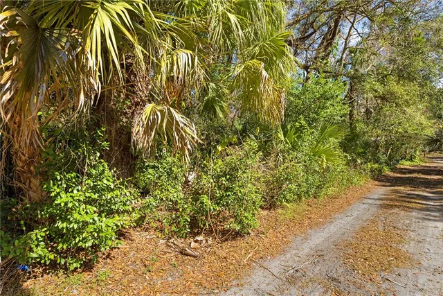 $18,750 | 9355 East Tin Pan Alley, Inverness, FL 34453