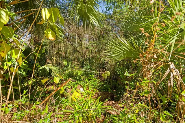 $18,750 | 9355 East Tin Pan Alley, Inverness, FL 34453