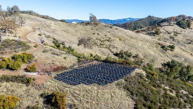 a view of a backyard