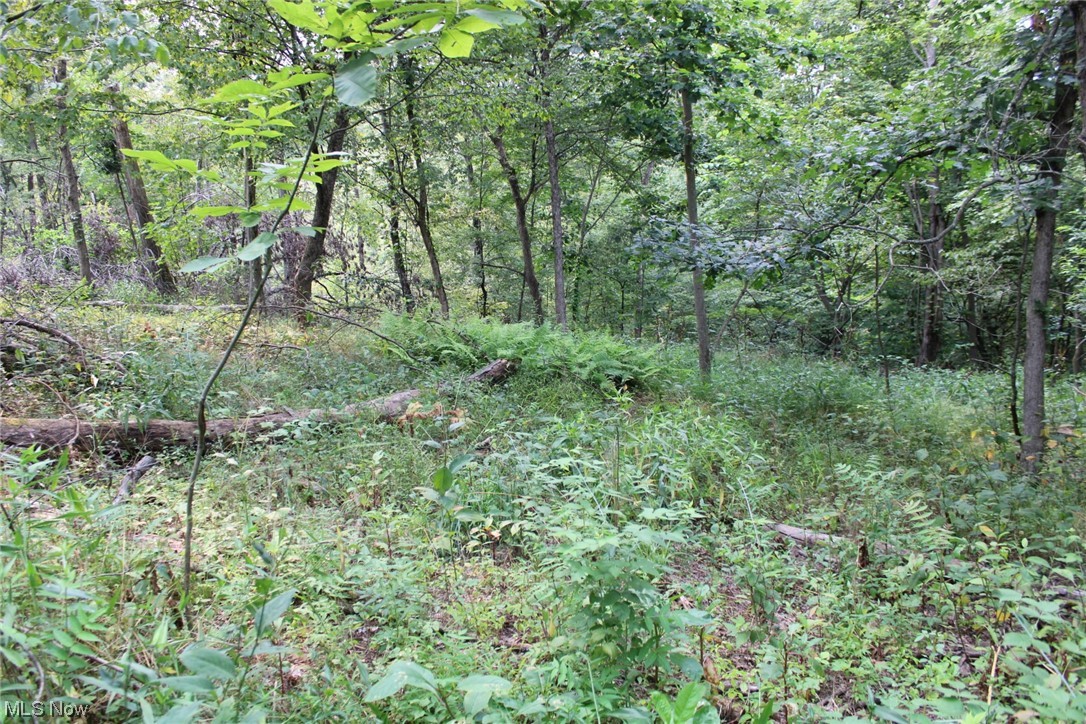 Fargo Road Dellroy, OH 44620 - Photo 12 of 21