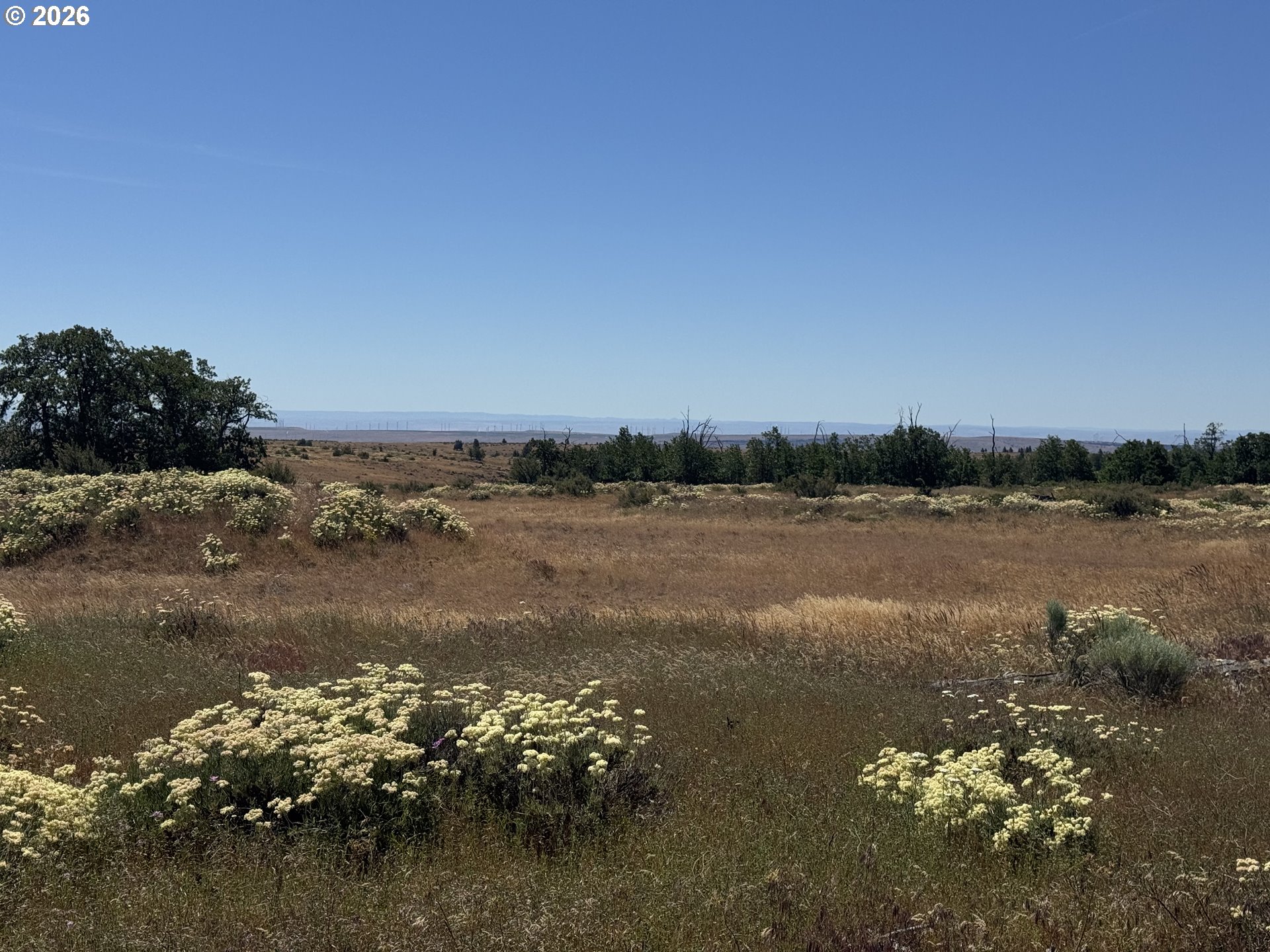 0 Bickleton Highway Bickleton, WA 99322 - Photo 6 of 15