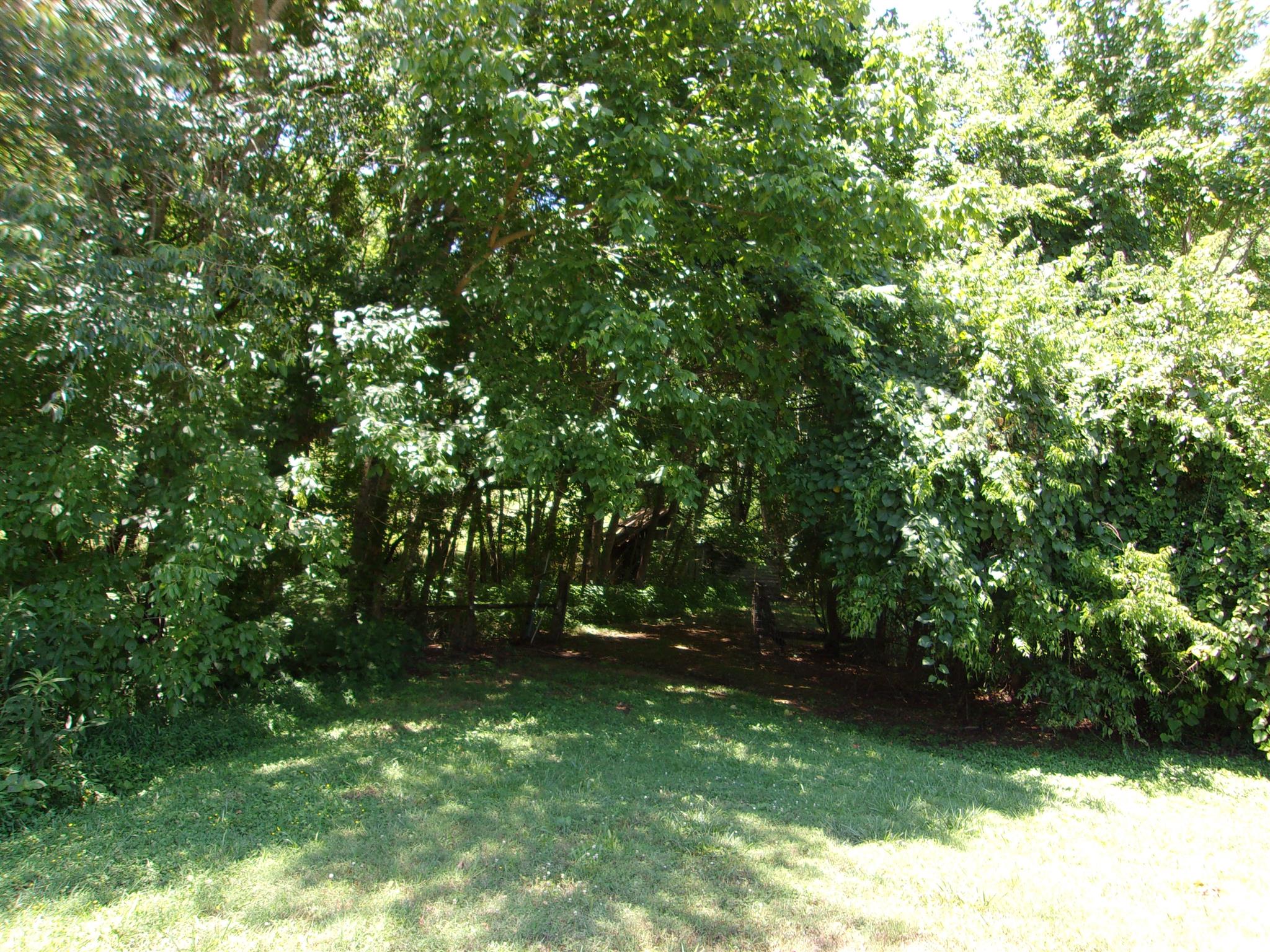 255 Blocker Road Hampshire, TN 38461 - Photo 8 of 9 Gallery Image 8