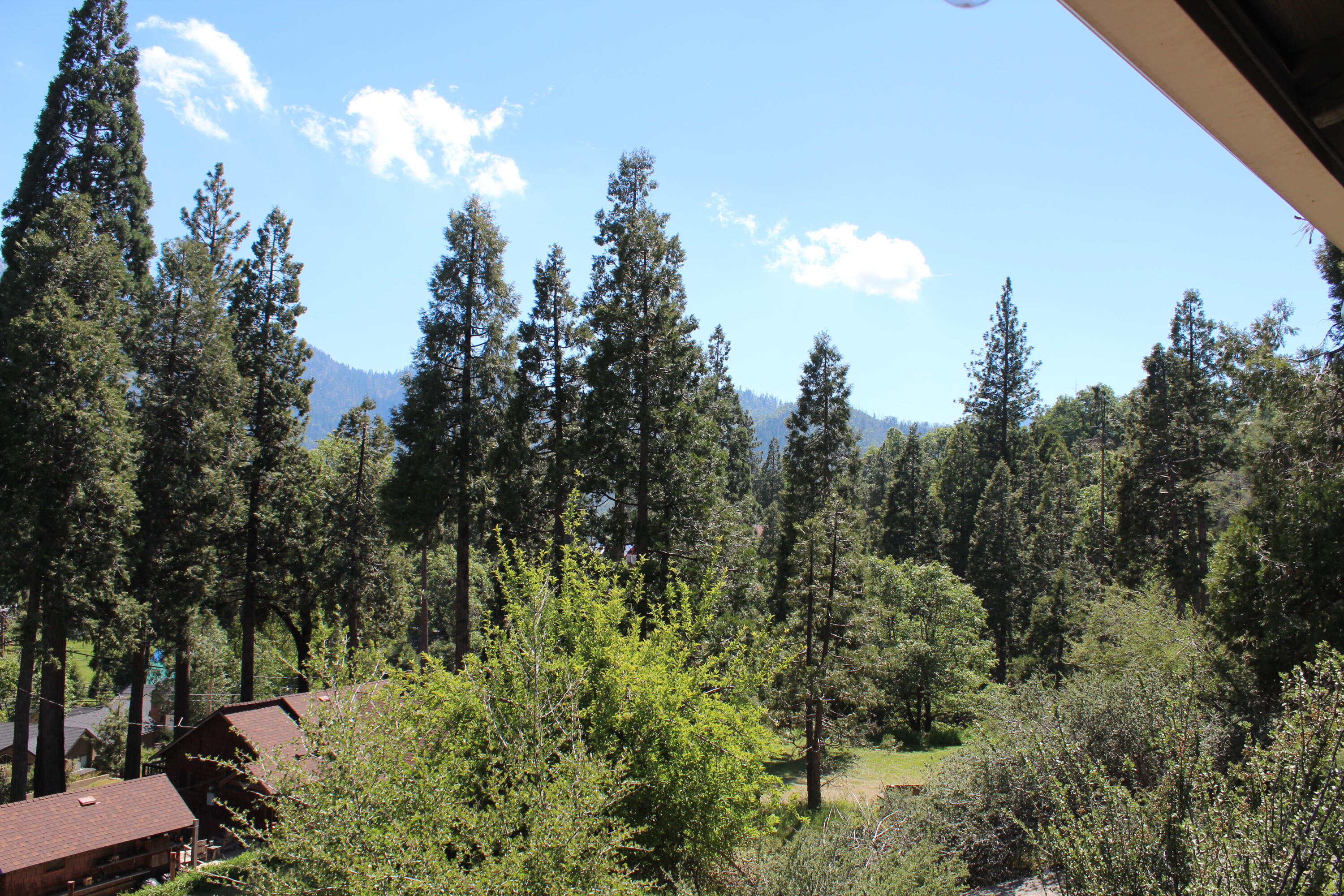 427 Sutherland Drive Springville, CA 93265 - Photo 37 of 55 Views