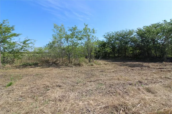 a view of backyard with green space