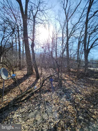 a view of a backyard of the house