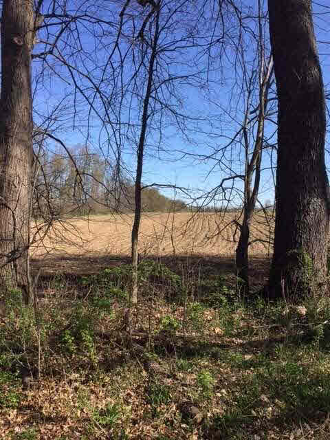 Mackie Road, Unit PARCEL C Parma, MI 49269 - Photo 2 of 2 Gallery Image 2