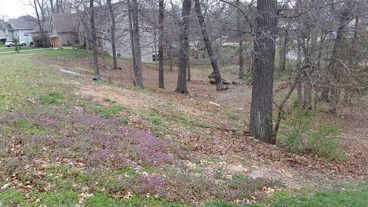 Lot 14 West Forest Ridge Road Brookline, MO 65619 - Photo 1 of 1 Lot 14