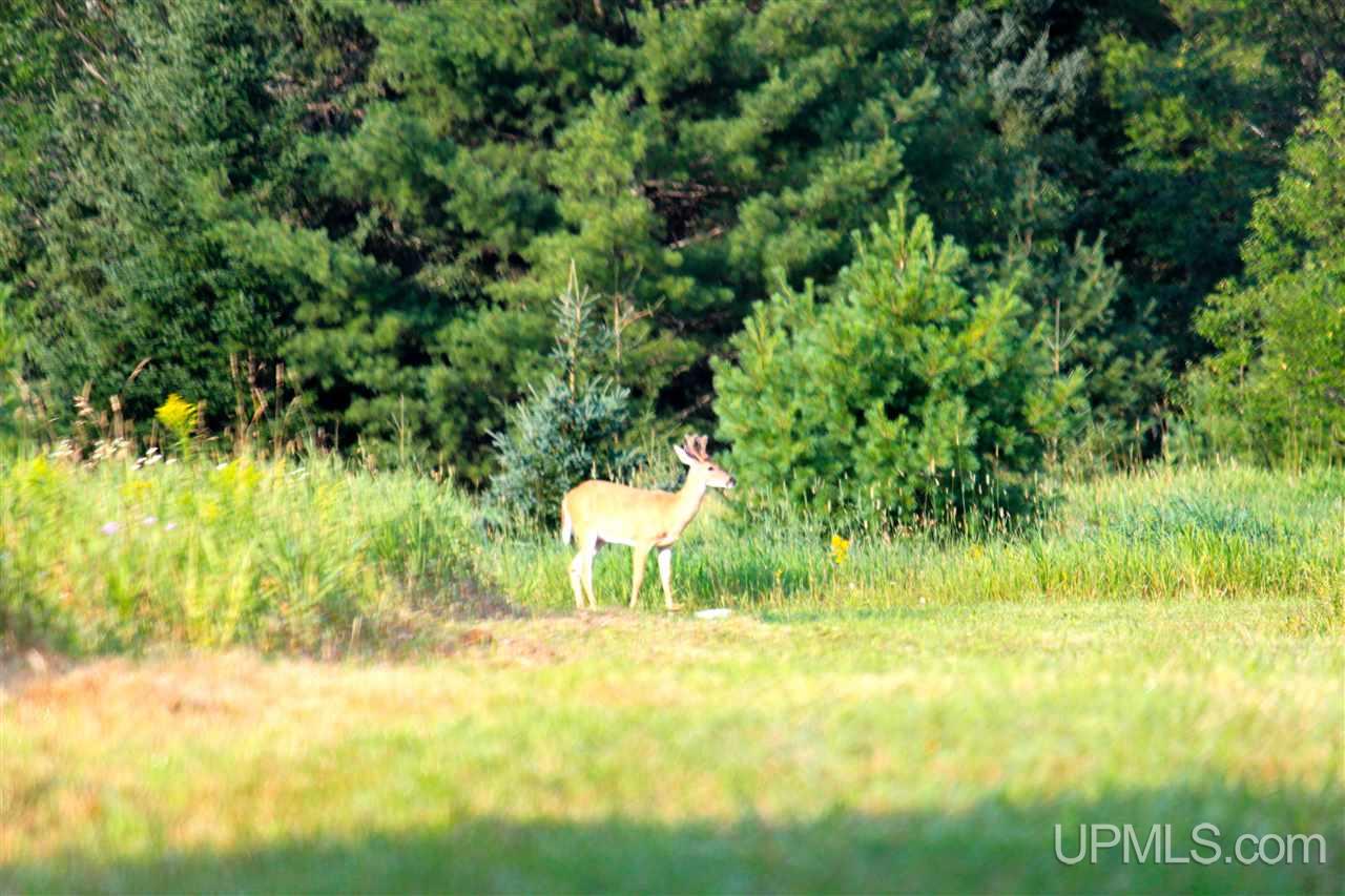 N2573 Et Road Trenary, MI 49891 - Photo 23 of 33
