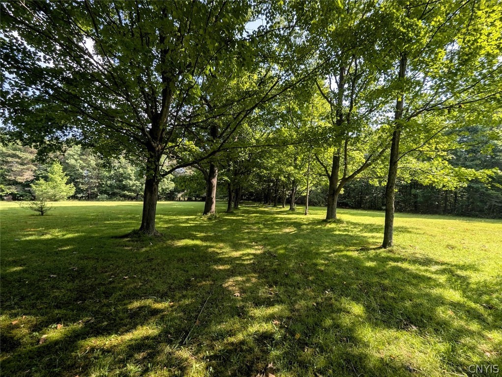 8880 Hemlock Road Wheeler, NY 14809 - Photo 19 of 50