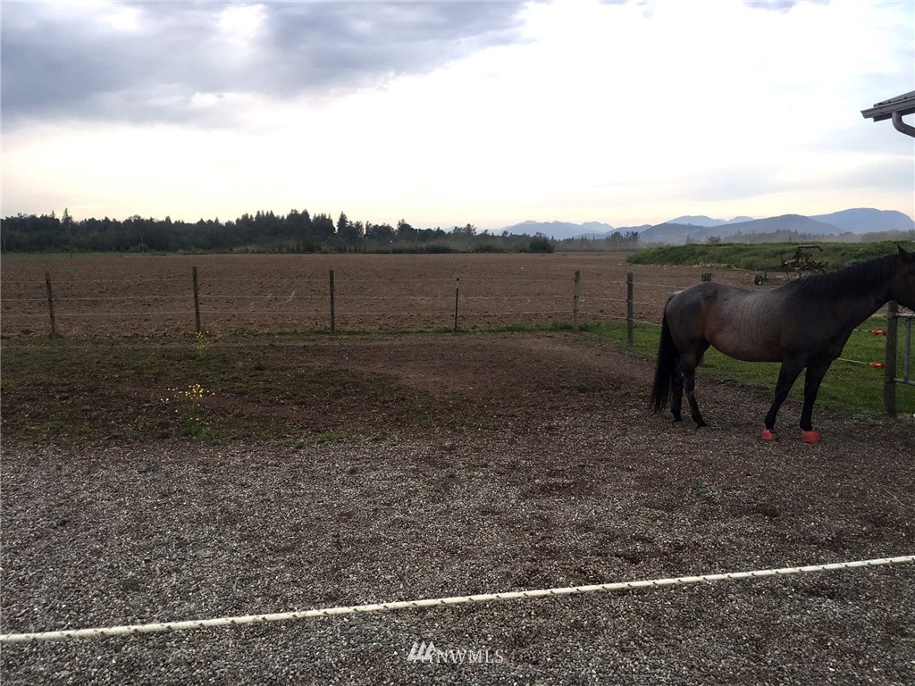 3429 Clearbrook Road Sumas, WA 98295 - Photo 21 of 23