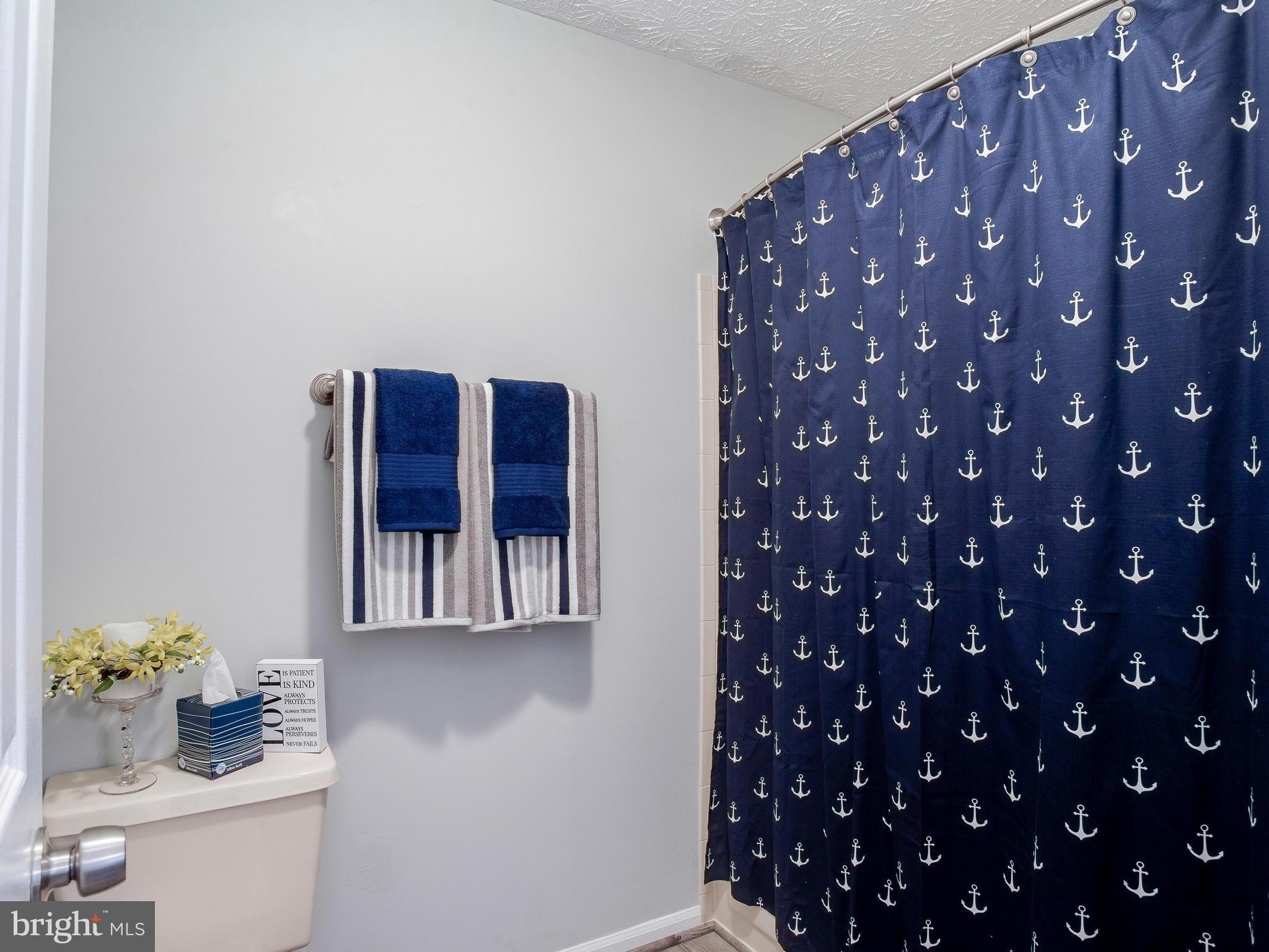 8809 Ridgelys Choice Drive Baltimore, MD 21236 - Photo 19 of 30 Bath (Master)
