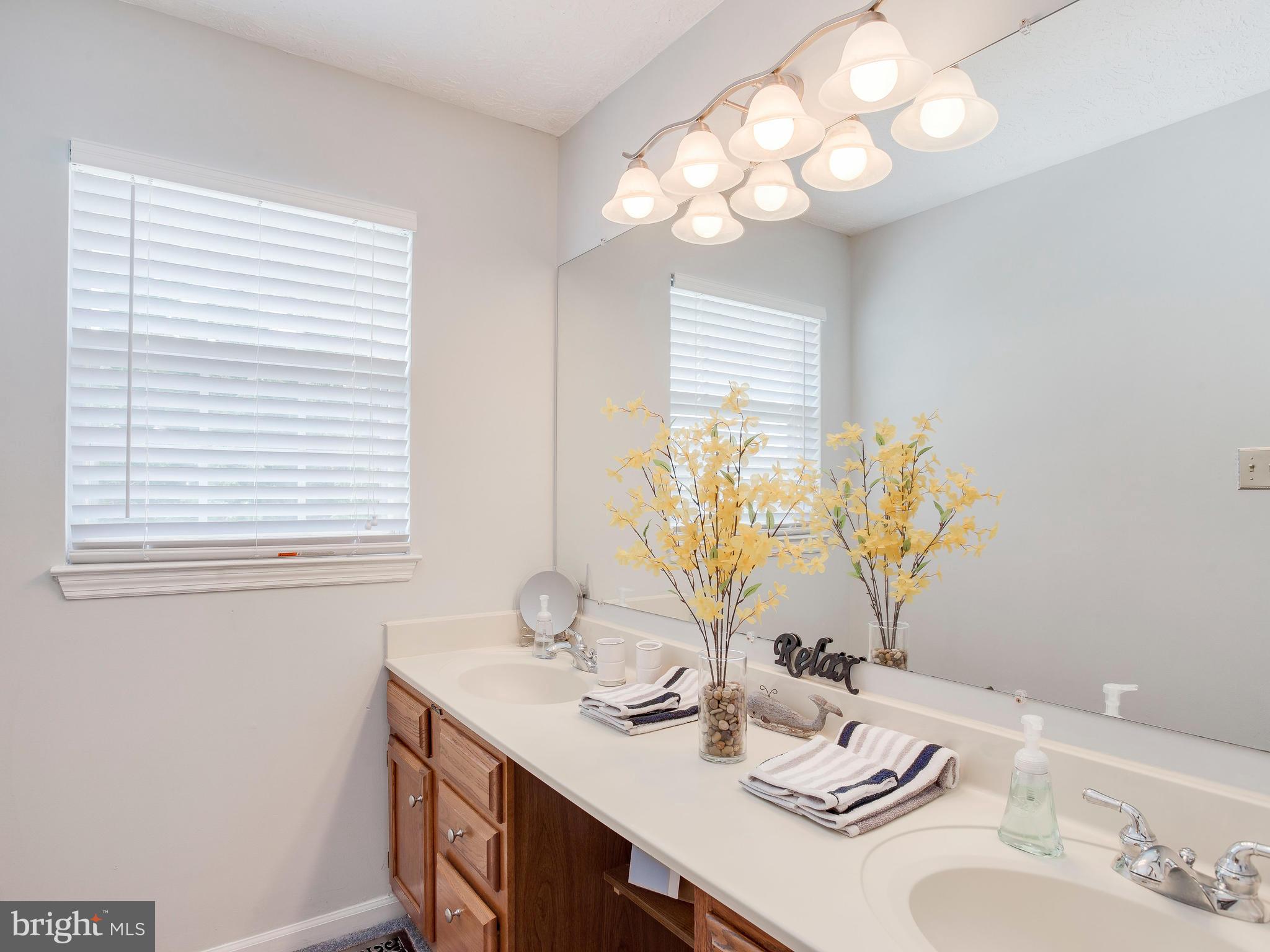 8809 Ridgelys Choice Drive Baltimore, MD 21236 - Photo 20 of 30 Bath (Master)