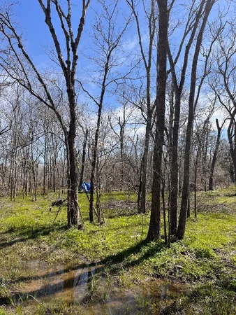 $15,000 | N/a Penguin Lane, Angleton, TX 77515