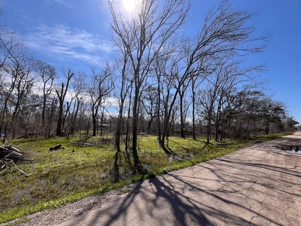 $15,000 | N/a Penguin Lane, Angleton, TX 77515