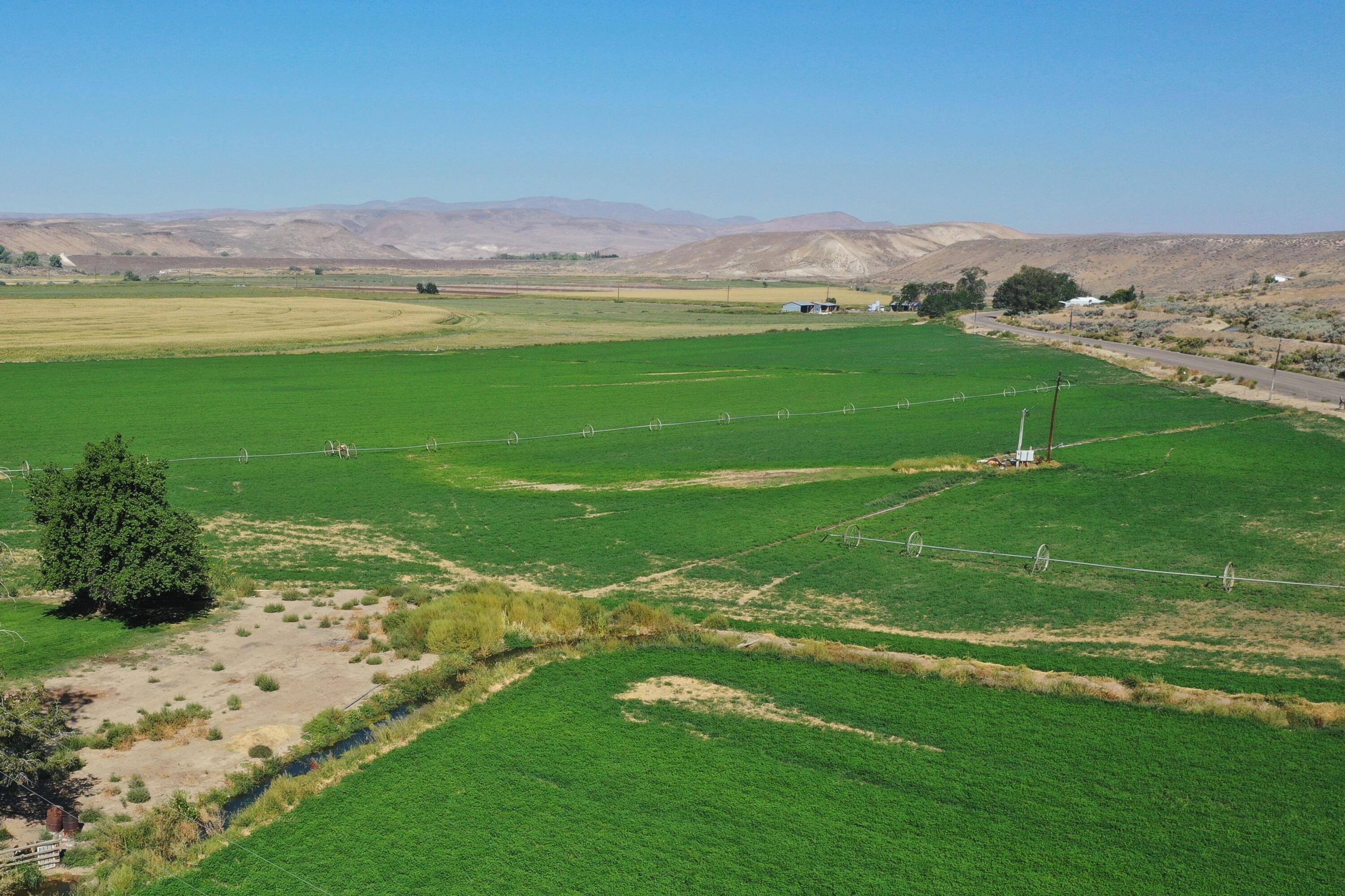 2337 Bully Creek Road Vale, OR 97918 - Photo 9 of 17 alfalfa field oregon bully springs farm