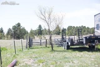 8445 Wildflower Road Colorado Springs, CO 80908 - Photo 17 of 19