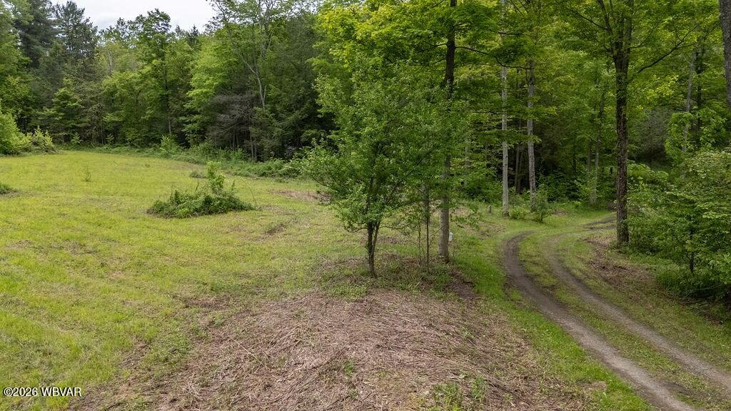 511 Steam Mill Road Wellsboro, PA 16901 - Photo 26 of 50 Gallery Image 26